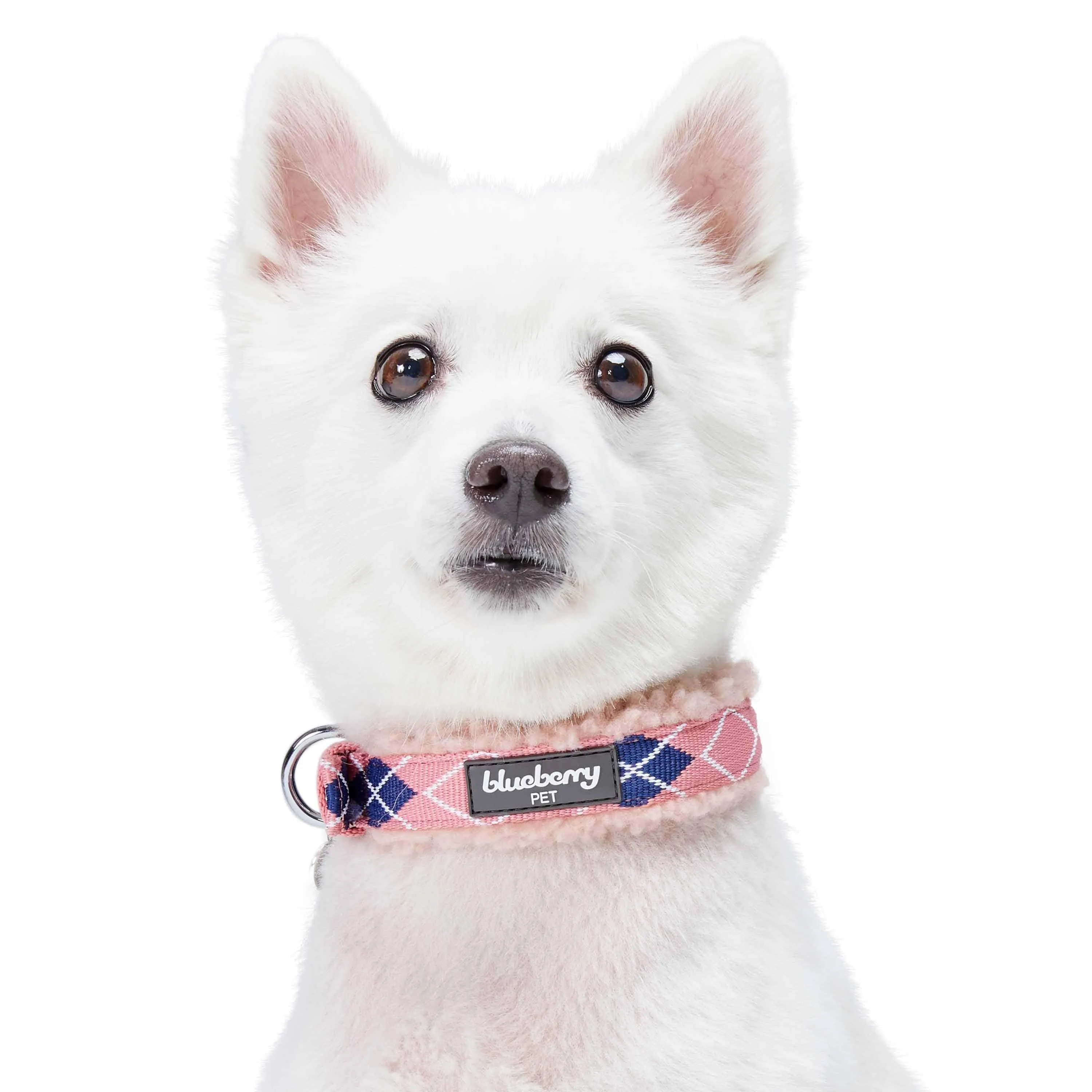 Sherpa Fleece Padded Dog Collar in Scottish Argyle